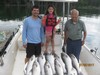 (07/06/2017) - Nice Striped Bass